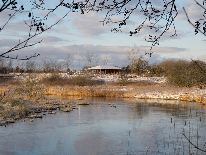 Stacks Image 99